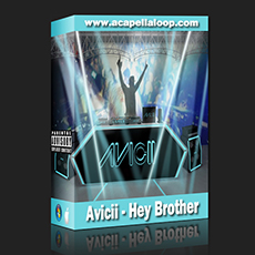 Avicii - Hey Brother (FL Studio工程)